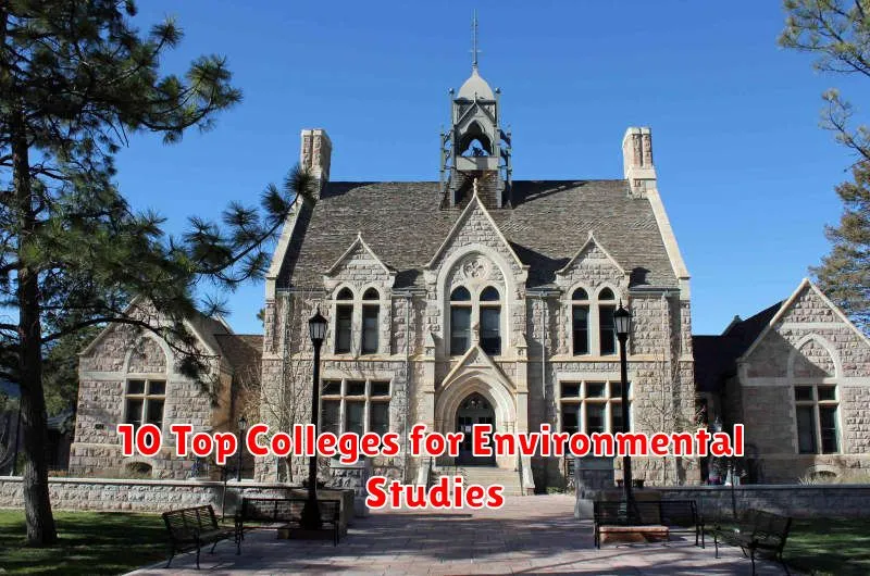 10 Top Colleges for Environmental Studies