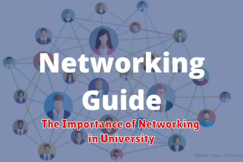 The Importance of Networking in University